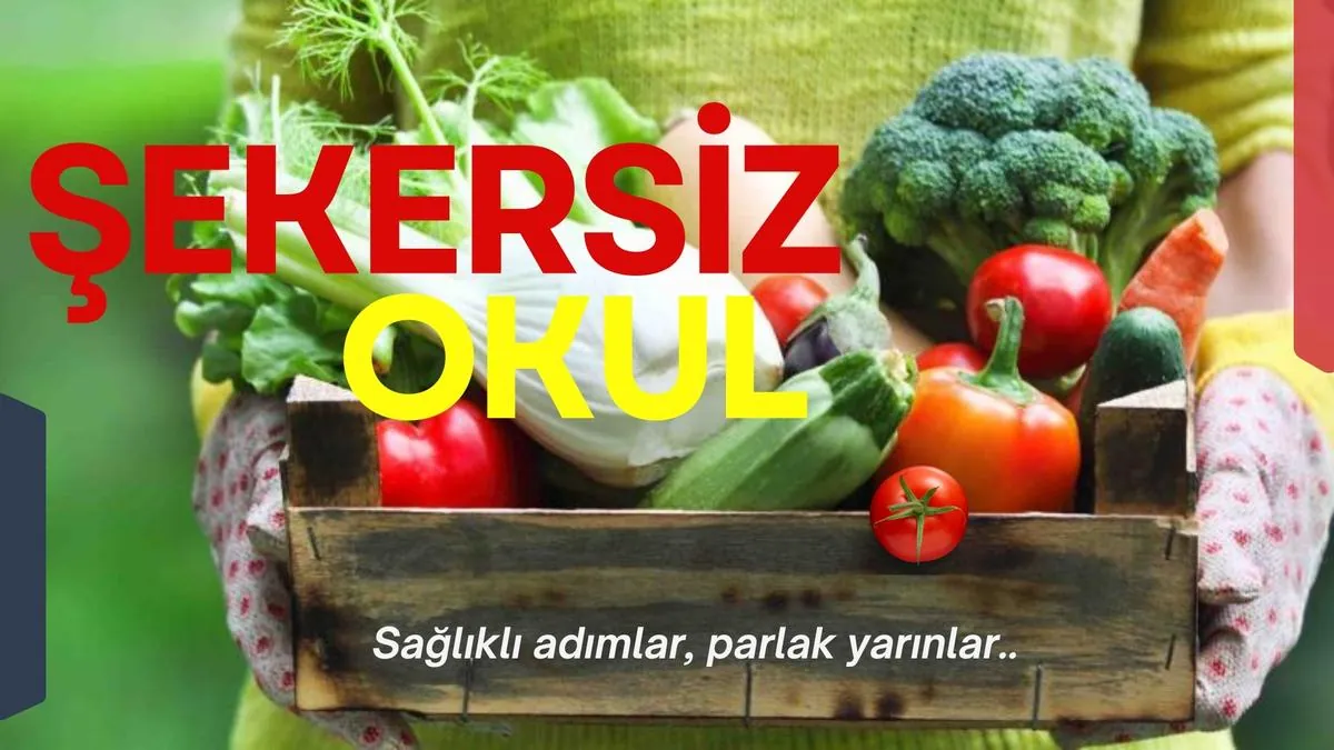 Özel Rengin Anaokulu görsel 7