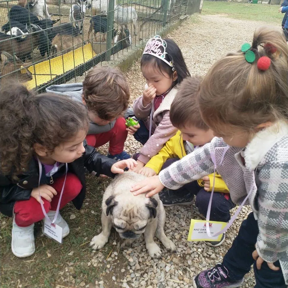 Özel Renkli Kuşaklar Anaokulu görsel 7