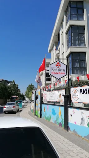 Özel Sancaktepe Bal Arısı Anaokulu görsel 2
