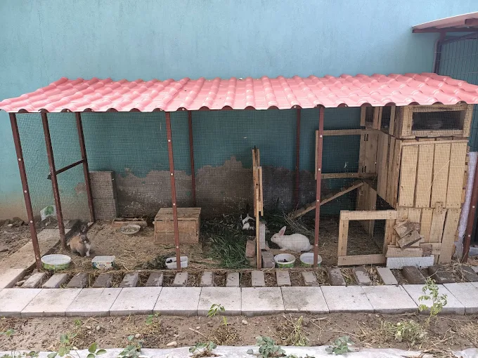 Özel Saruhanlı Lale Bahçesi Anaokulu görsel 3