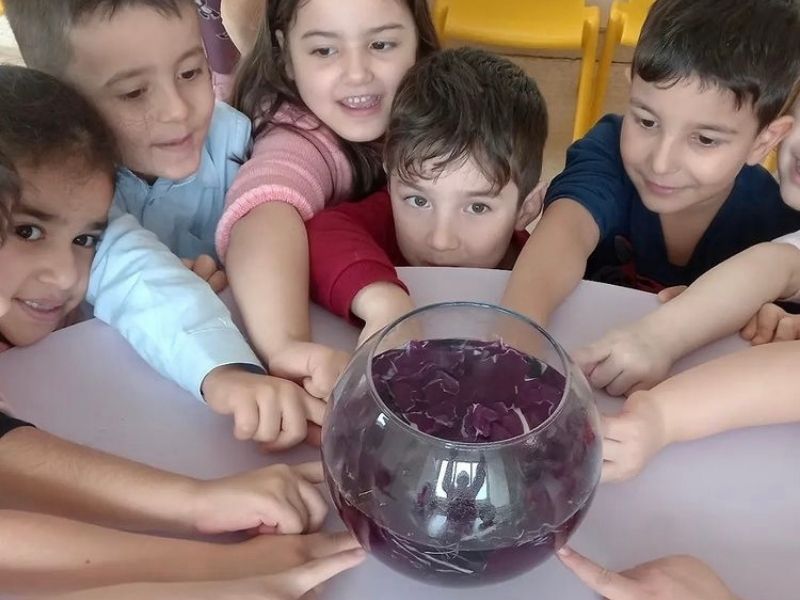 Özel Sihirli Dünyam Anaokulu
