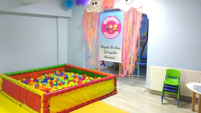 Özel Şirin Güller Anaokulu görsel 3