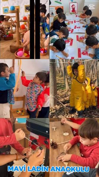 Özel Sivas Mavi Ladin Anaokulu