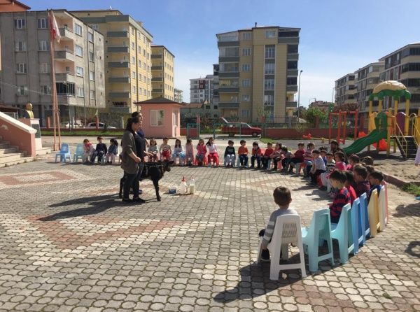 Özel Tekkeköy Anaokulu görsel 3