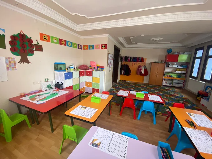 Özel Tokat Safa Kelebek Anaokulu