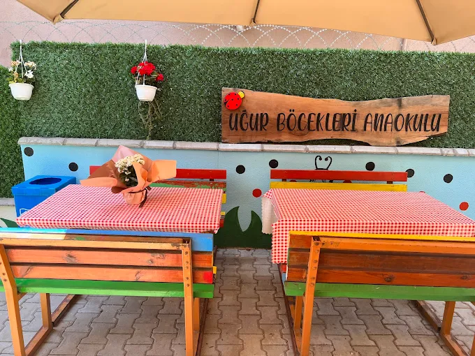 Özel Uğur Böcekleri Anaokulu görsel 3