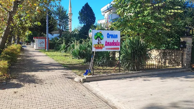 Özel Yalova Orman Anaokulu
