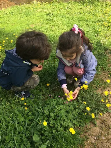 Özel Yeşilköşk Anaokulu görsel 5