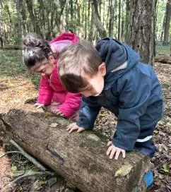 Özel Zekeriyaköy Orman Anaokulu