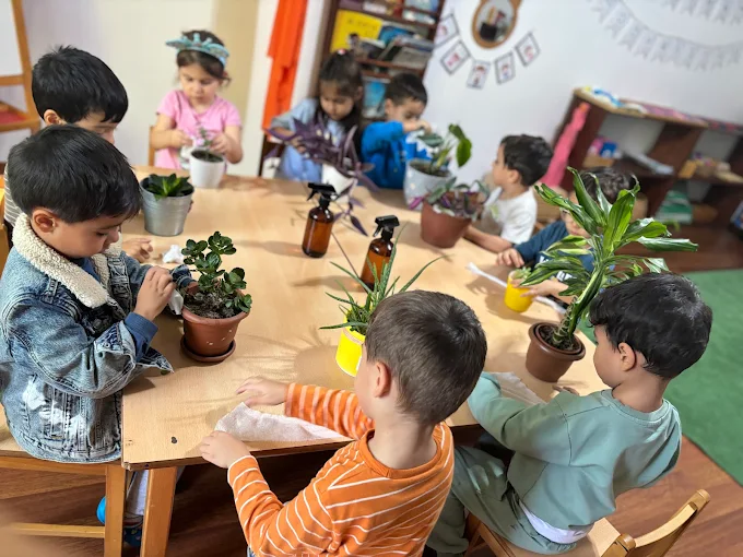 Özel Zeytin Ağacı Anaokulu görsel 7